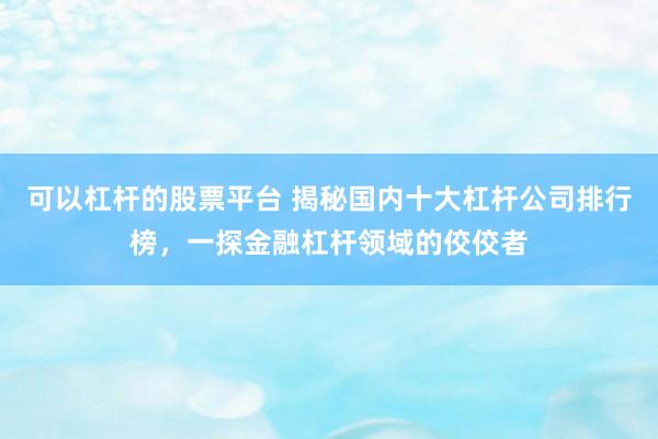 可以杠杆的股票平台 揭秘国内十大杠杆公司排行榜，一探金融杠杆领域的佼佼者