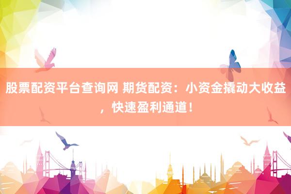 股票配资平台查询网 期货配资：小资金撬动大收益，快速盈利通道！