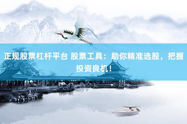 正规股票杠杆平台 股票工具：助你精准选股，把握投资良机！