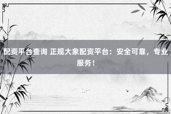 配资平台查询 正规大象配资平台：安全可靠，专业服务！