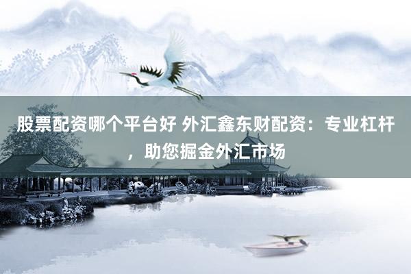 股票配资哪个平台好 外汇鑫东财配资：专业杠杆，助您掘金外汇市场