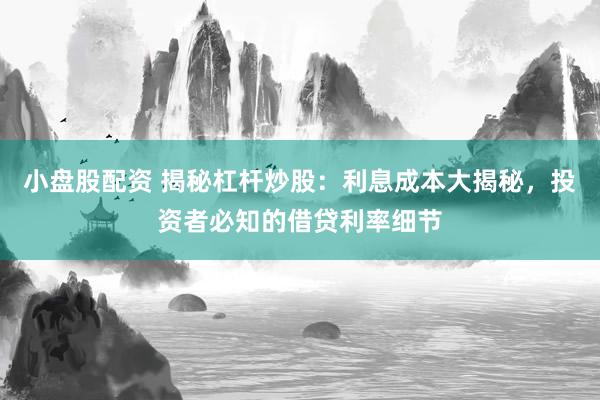 小盘股配资 揭秘杠杆炒股：利息成本大揭秘，投资者必知的借贷利率细节