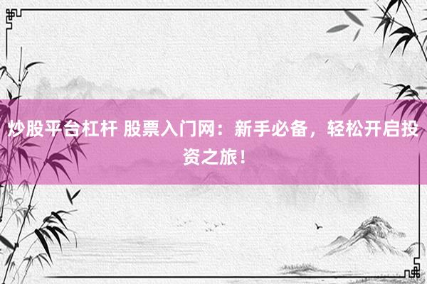 炒股平台杠杆 股票入门网：新手必备，轻松开启投资之旅！