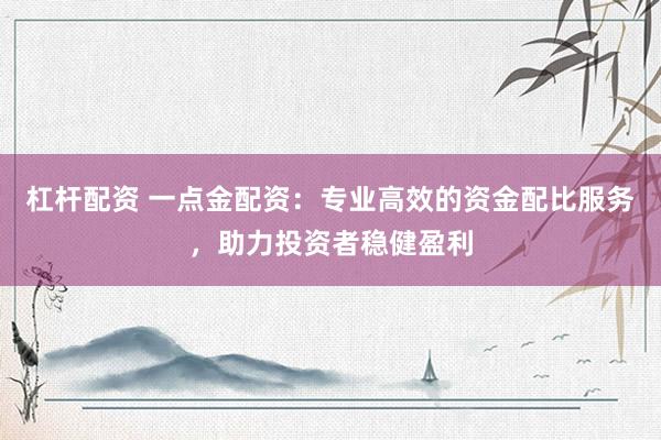 杠杆配资 一点金配资：专业高效的资金配比服务，助力投资者稳健盈利