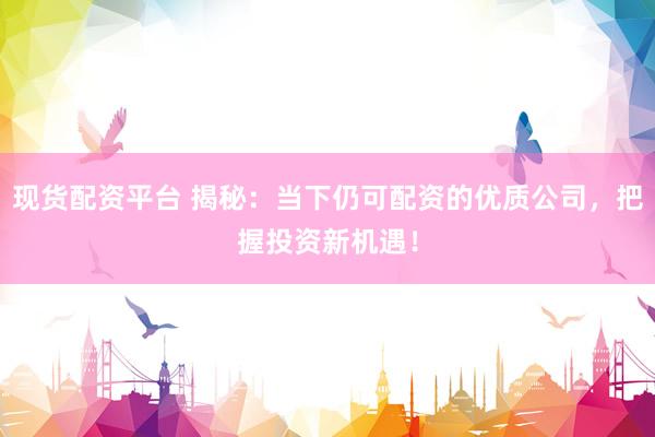 现货配资平台 揭秘：当下仍可配资的优质公司，把握投资新机遇！