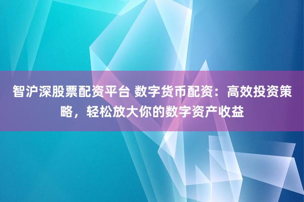 智沪深股票配资平台 数字货币配资：高效投资策略，轻松放大你的数字资产收益