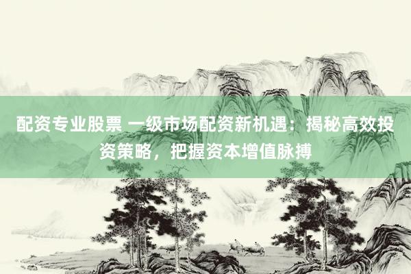 配资专业股票 一级市场配资新机遇:揭秘高效投资策略,把握资本增值脉搏