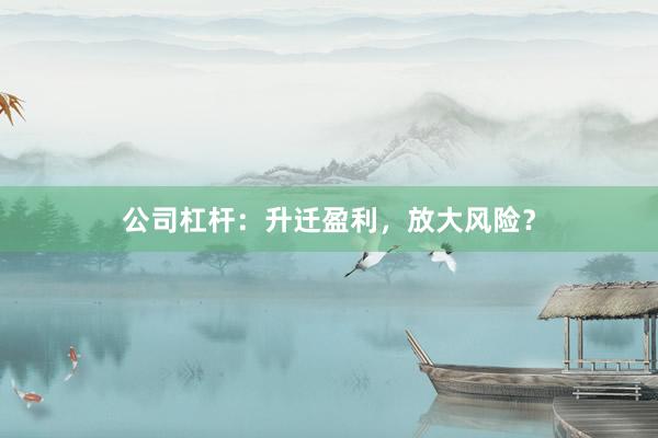 公司杠杆:升迁盈利,放大风险?