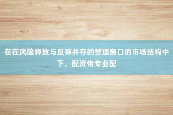 在在风险释放与反弹并存的整理窗口的市场结构中下,配资佬专业配