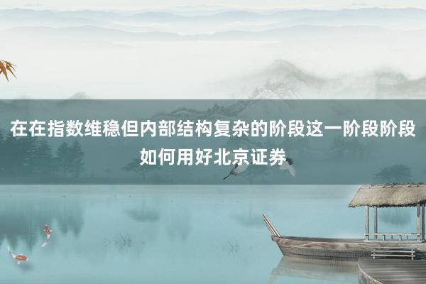 在在指数维稳但内部结构复杂的阶段这一阶段阶段如何用好北京证券
