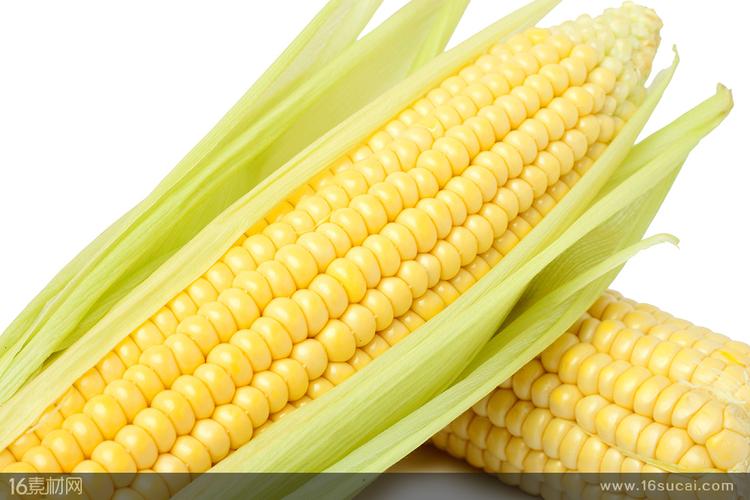 十字交叉叠放的新鲜玉米高清图片(图片id:118360)-食品果蔬图片-素材