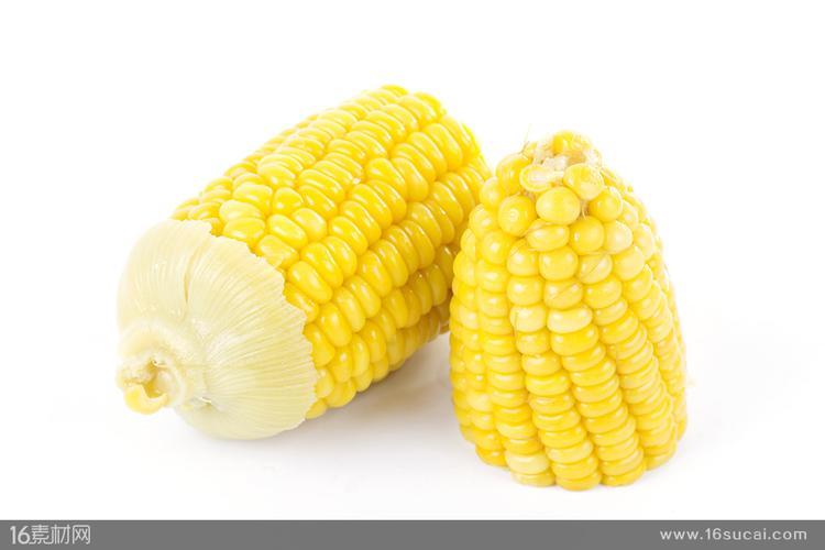  高清图片 食品果蔬图片 关键词:甜玉米新鲜玉米玉米棒子玉米苞谷